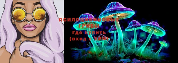 гидропоника Вяземский