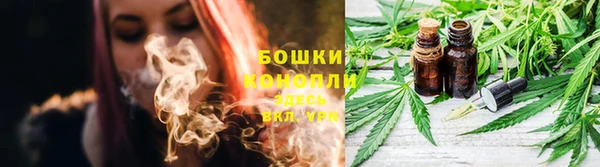 соль ск Волосово